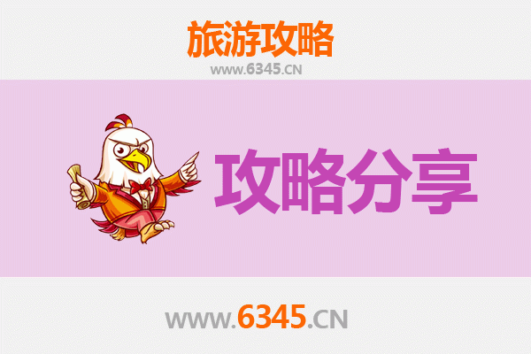 漯河源汇至湄洲岛旅游攻略：跟团还是自由行选择指南